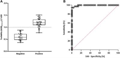 Magnetic Field-Enhanced Agglutination Readout Combined With Isothermal Reverse Transcription Recombinase Polymerase Amplification for Rapid and Sensitive Molecular Detection of Dengue Virus